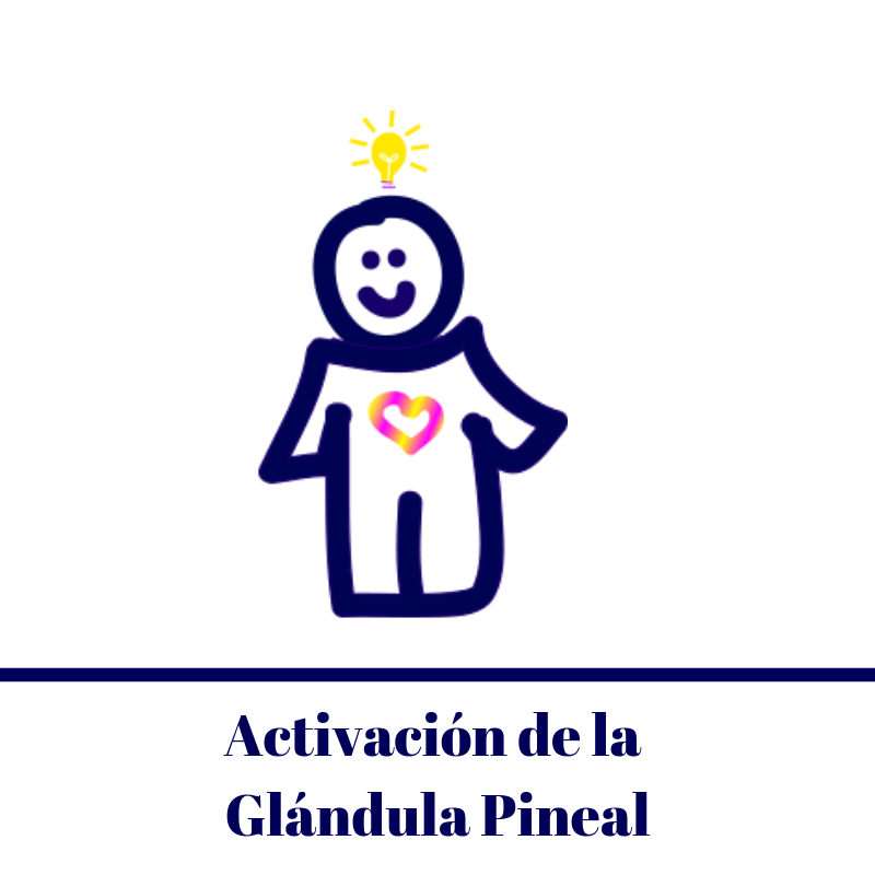 Seminario Activacion de la Glandula Pineal